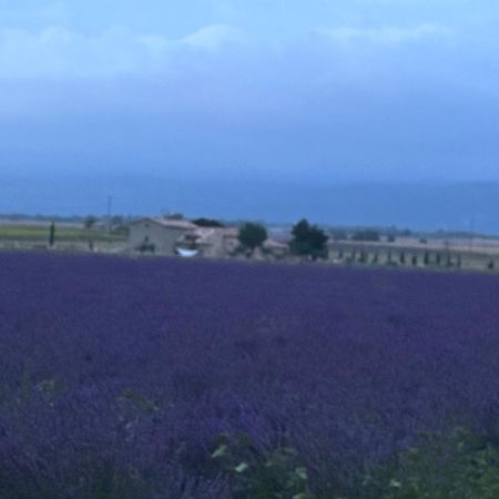 Domaine D'Angouire Moustiers-Sainte-Marie Bagian luar foto